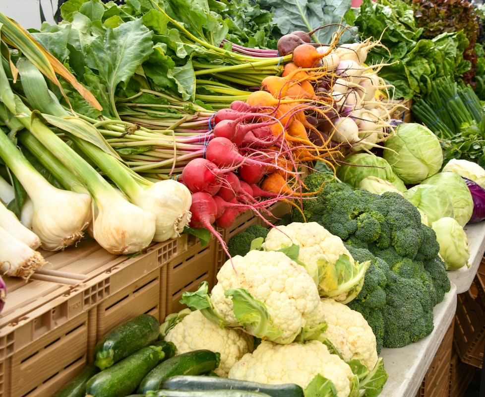 Antioxidantes: Defensa Celular